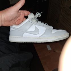 Nike Dunk Size 11