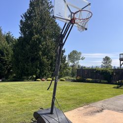 Silverback Basketball Hoop
