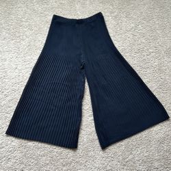 Navy pleated wide leg pants. S