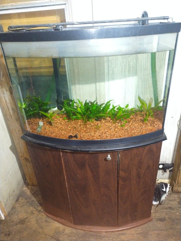 Fish Tank