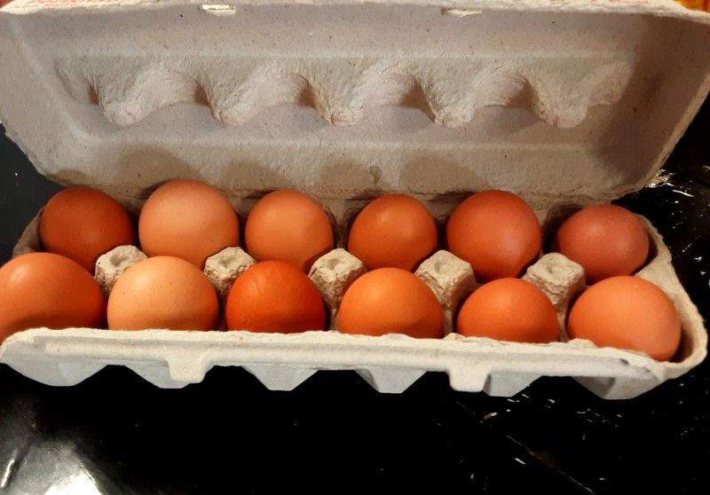 Fresh Eggs