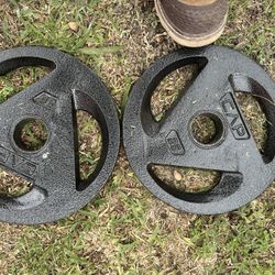 25 Lbs. Plates- 2 Inch