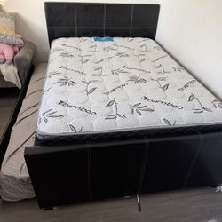 Full Size Bed With Full Trundle