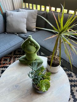 Free plants
