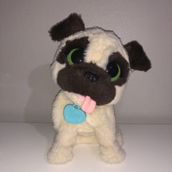 cute stuff pug for sale !!!