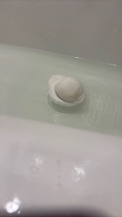 Squishy duck opened not popped