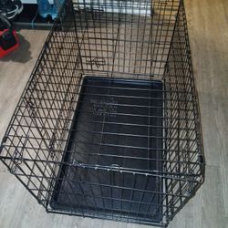 Dog Crate 