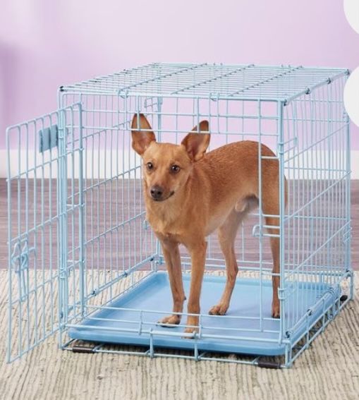 Light Blue Dog Crate 24” Collapsible Single Door with Tray