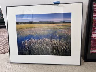 Sycan Marsh by Larry N Olson