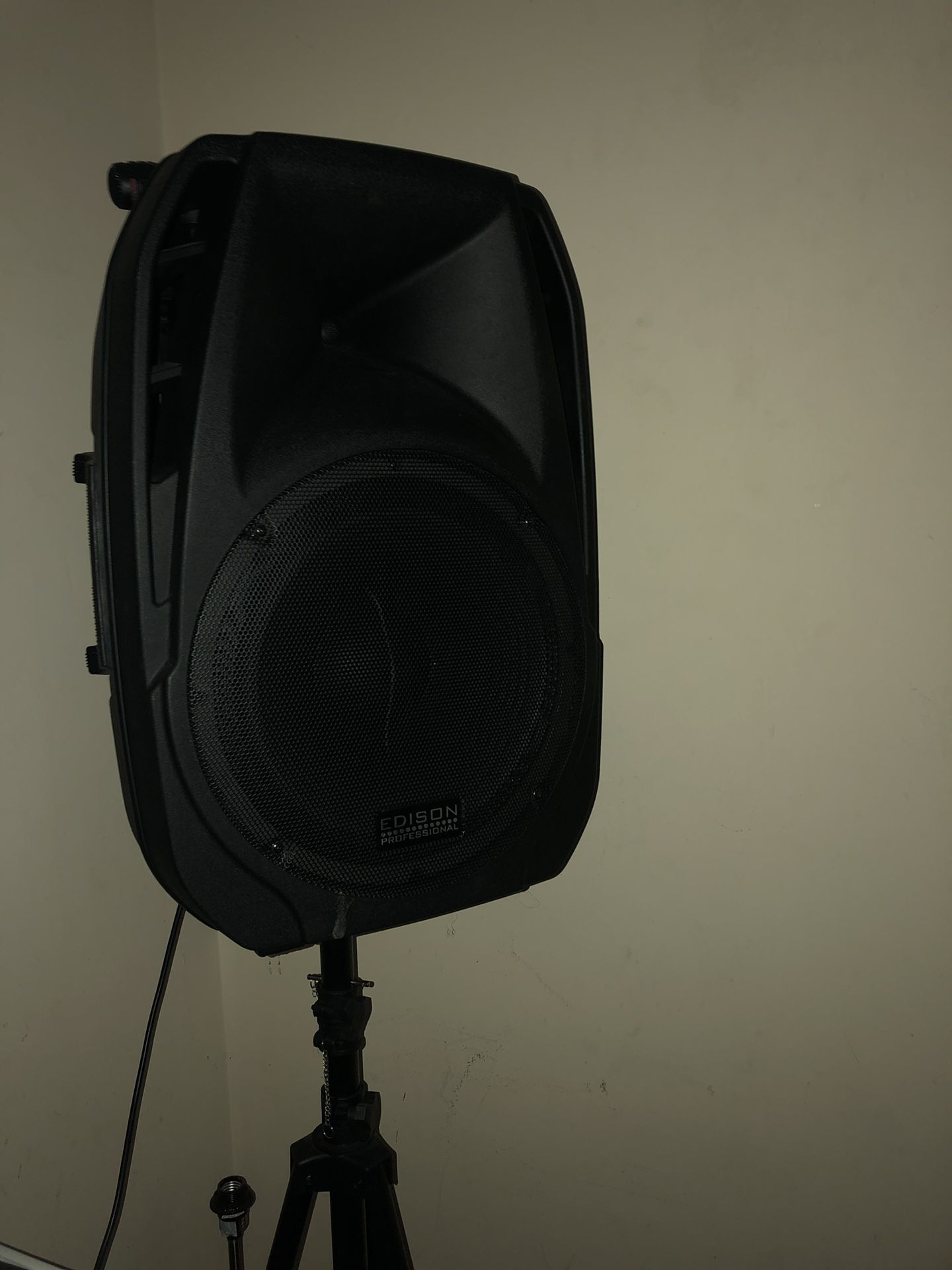 Edison professional Bluetooth speaker m2000
