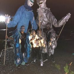 3 Adult Mascot Costume For Carnival Or Parties