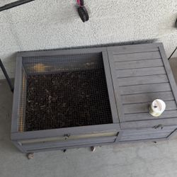 Tortoise House 
