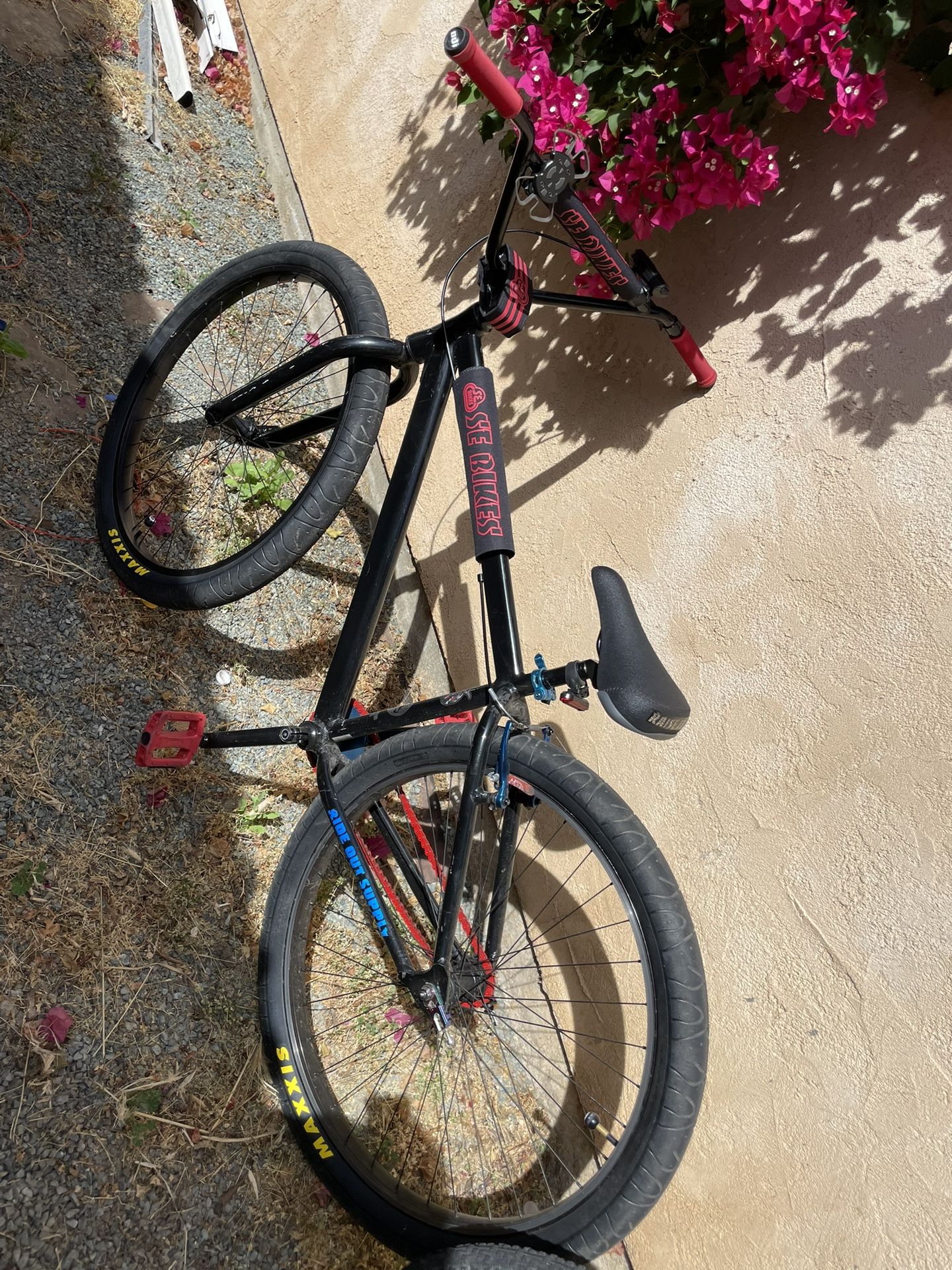 29” Se Bike