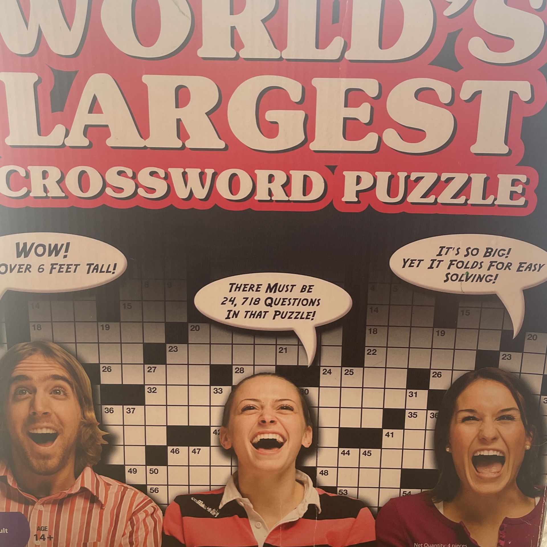 Worlds LARGEST Word Puzzle 