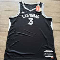 Nike Candace Parker Las Vegas Aces Explorer Edition WNBA Jersey Womens Large New