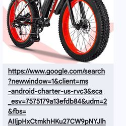 Eoeotwo Electric Bike 