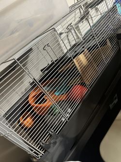 Small Animal Cage And Accessories