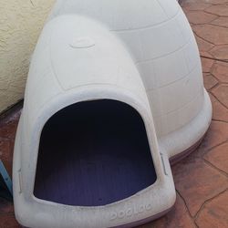 Dog House