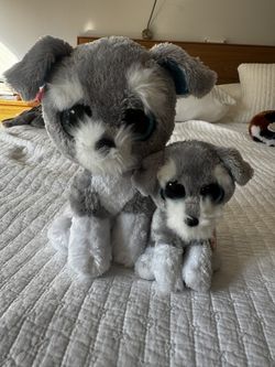 Beanie Duo “whiskers”