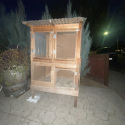 Bird Cage 