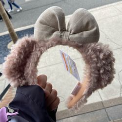 Tokyo Disney Ears