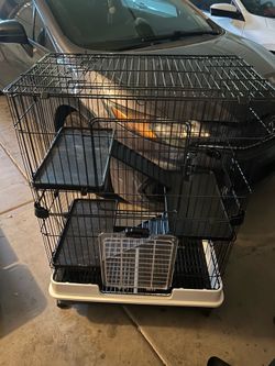 Small animal cage