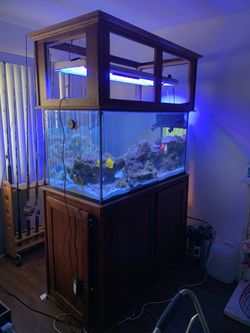 120 Glass Reef Peninsula Tank Set Up