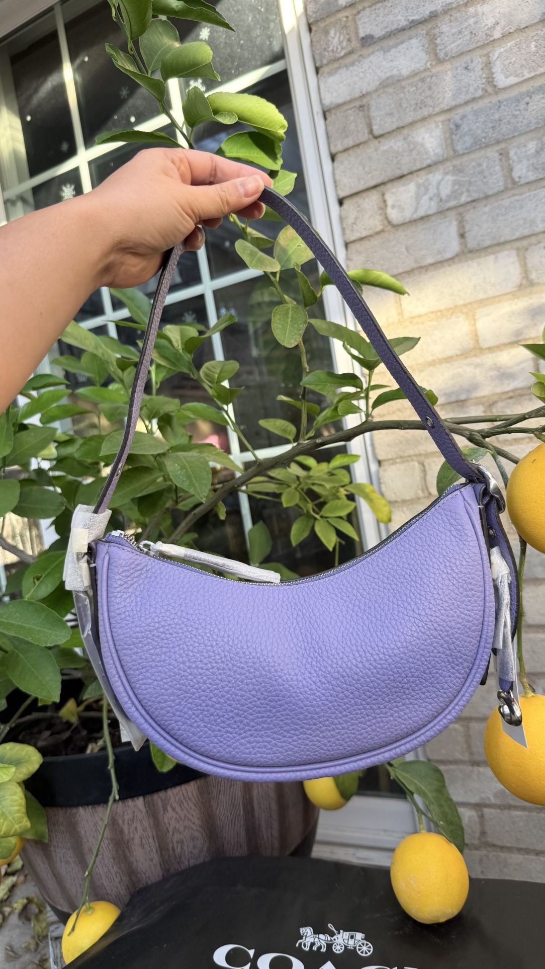 Coach Luna Shoulder Bag