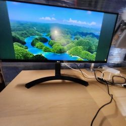 LG 34" 4k Monitor Display 