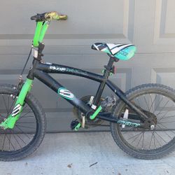 bicycle x 2 ( Kid + Adult )