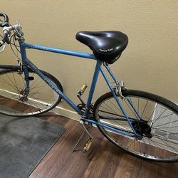 Schwinn Traveler III 1970's Vintage 10-speed Road Bike, for 5'11"-6'3"