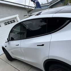tint for sale
