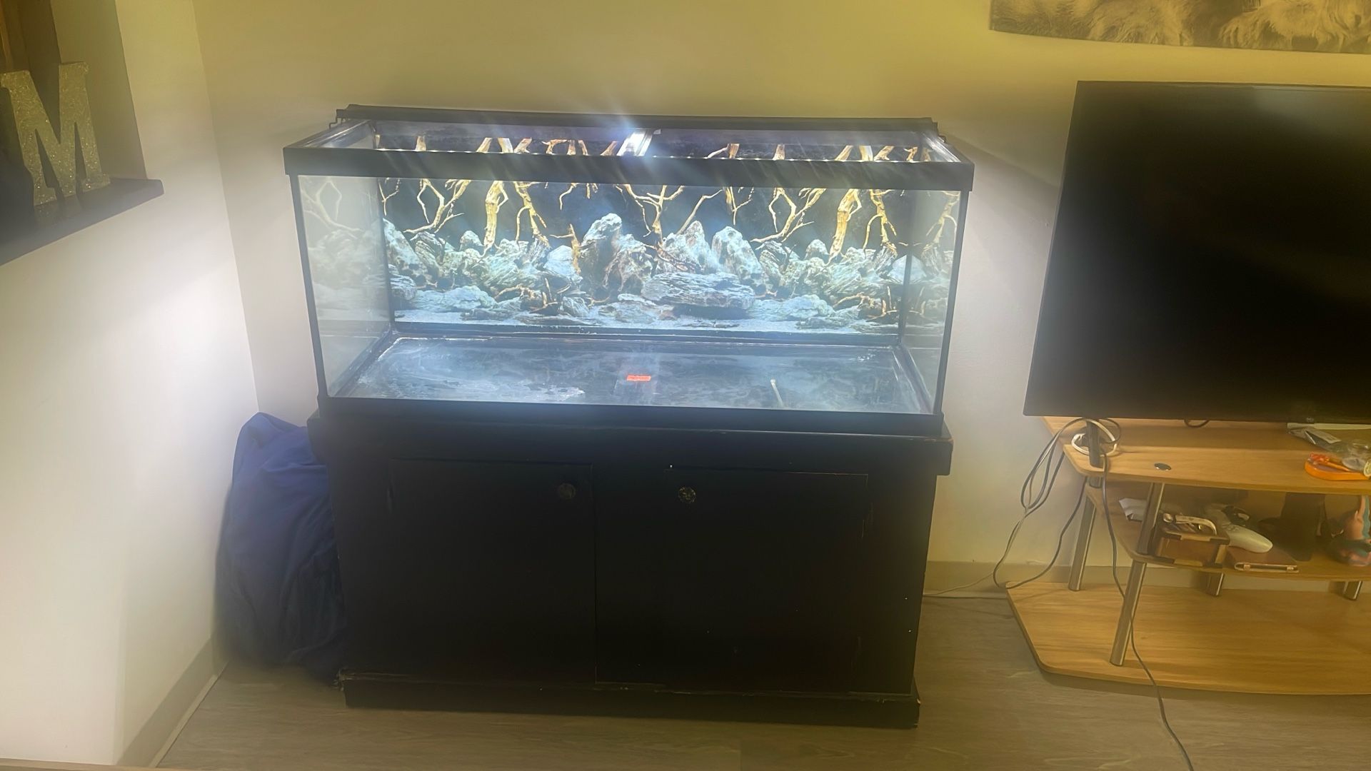 Fish Tank