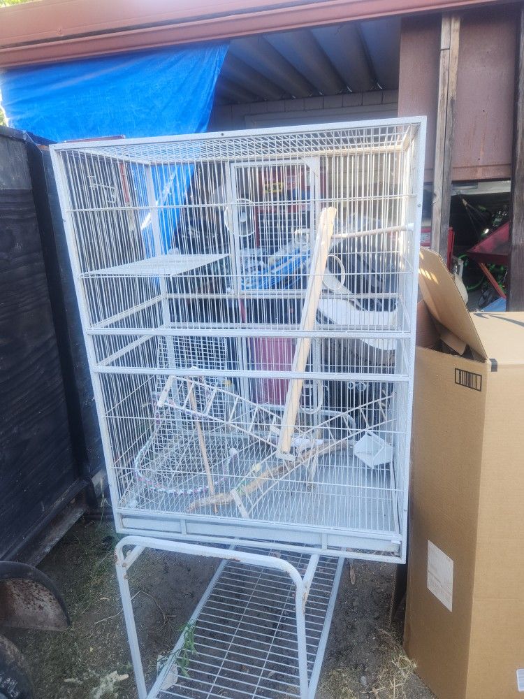 Bird Cage