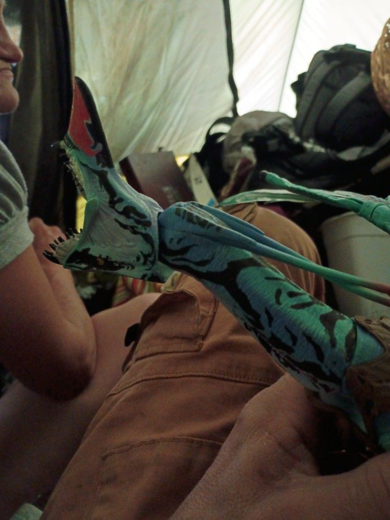 Avatar Collectible Ornament