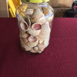 Jar Of Shells 