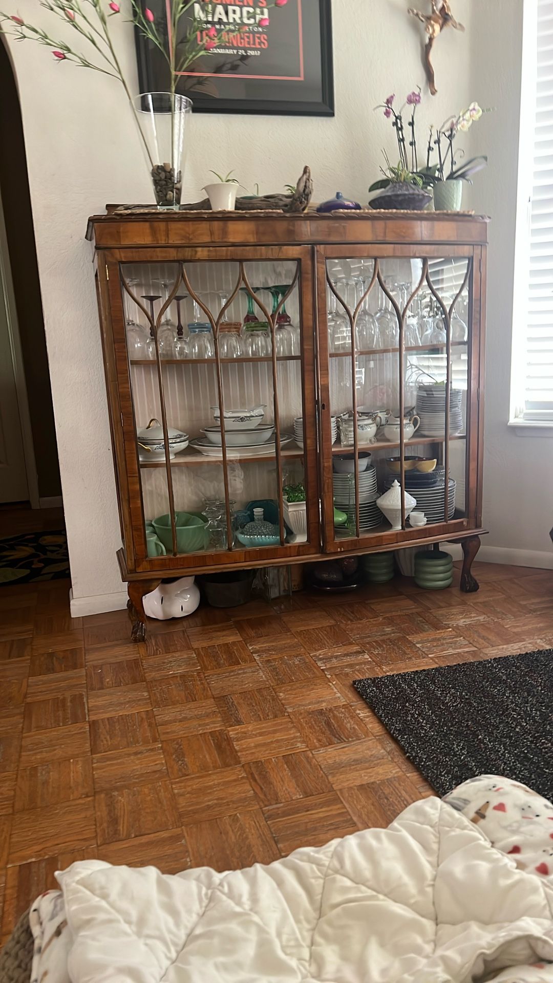 Victoria Display Case