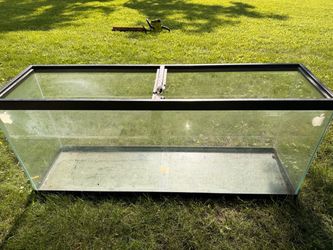 Large Glass Aquarium Tank – Black Frame (Latch Needs Repair)