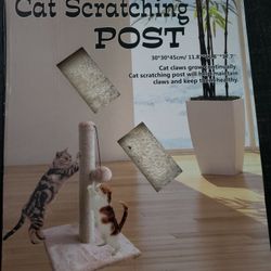 Cat Scratching Pots 