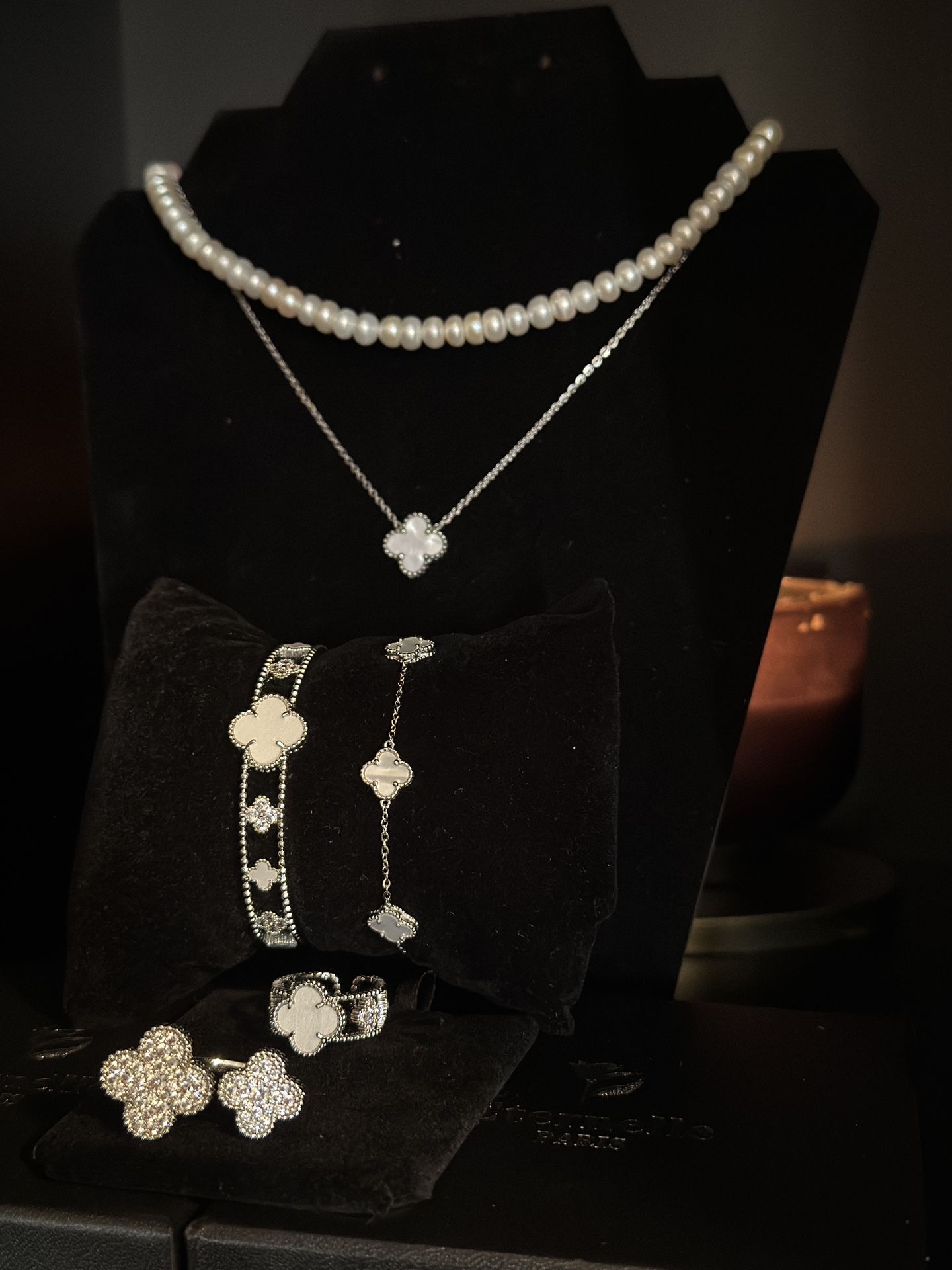 Stunning Jewelry Set