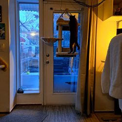 Mini Wall Mount Cat Condo With Screws And Extra Carpet Scratch Pads