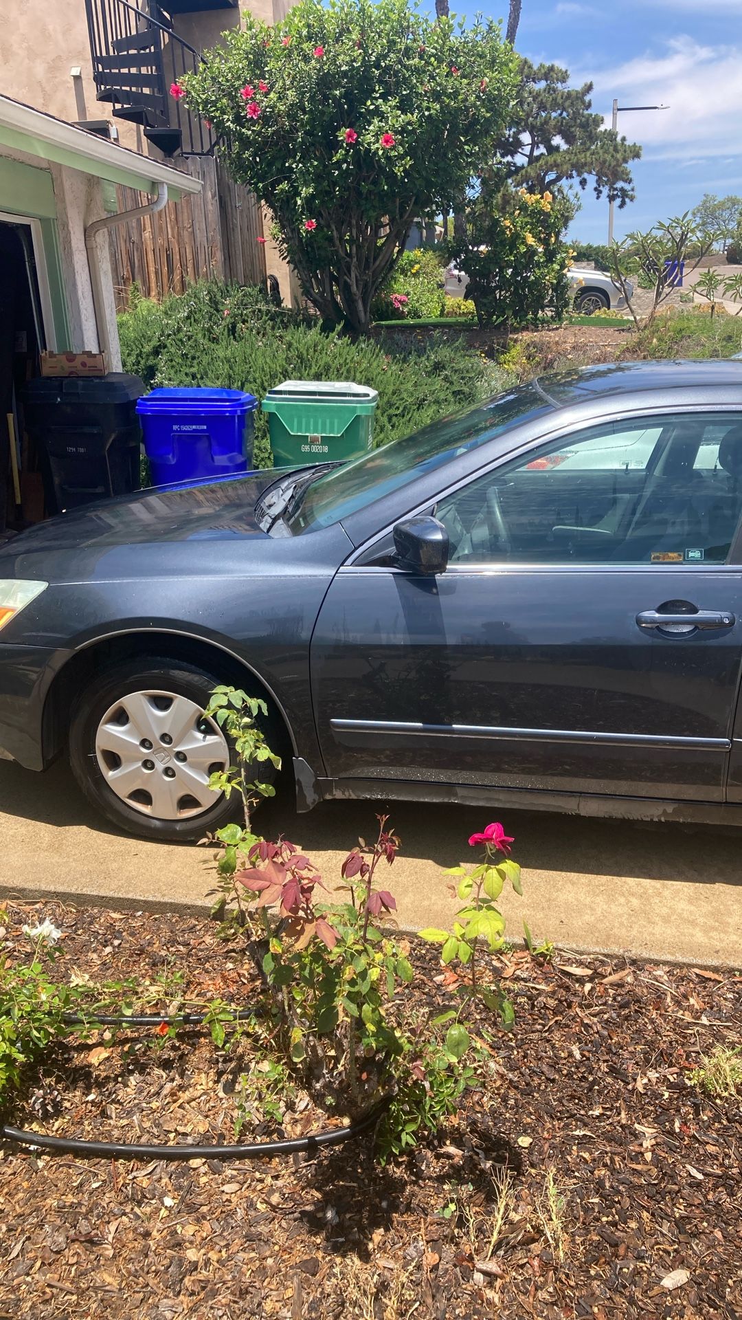 2005 Honda Accord