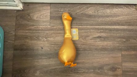 Golden goose