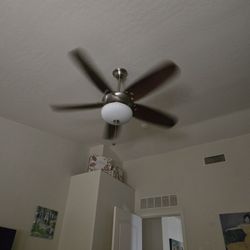 Large ceiling fan