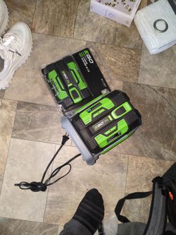 2 EGO batteries and rapid charger