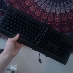 Razer Keyboard 