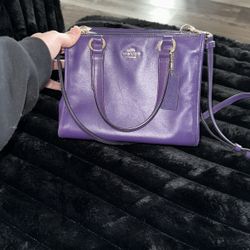 Purse 