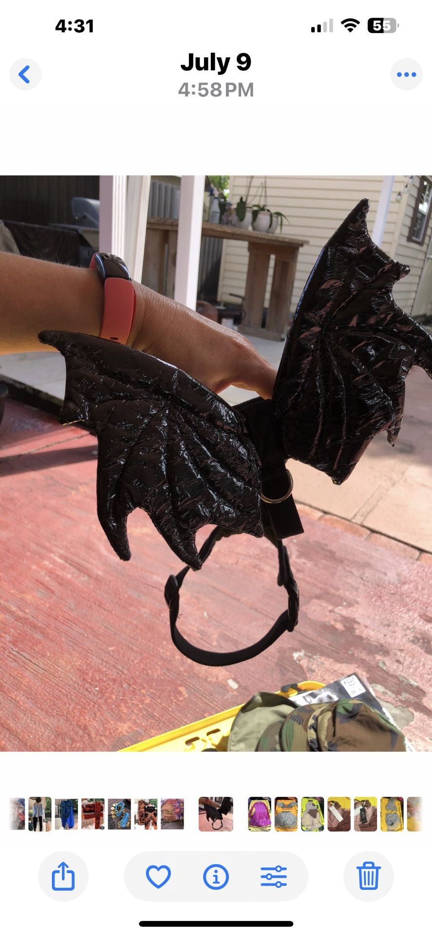 Halloween costume for a dog