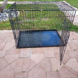  cage everything is mental the one that goes inside is also large height 31 length 42 width 28