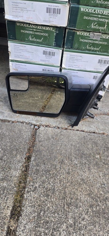 2011 F150 Driver's Mirror